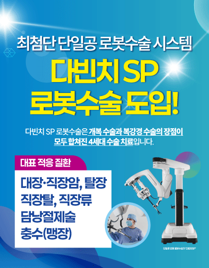 다빈치 SP 도입