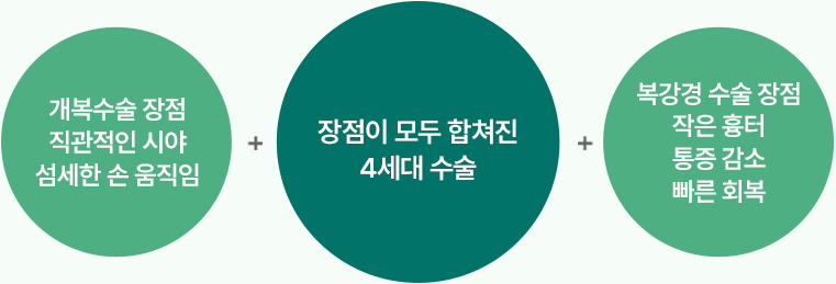 단일공 수술